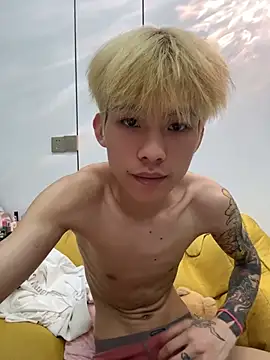 KPL-11 网络视讯表演