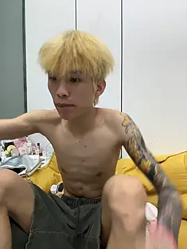 KPL-11 网络视讯表演