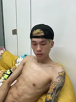 KPL-11 网络视讯表演