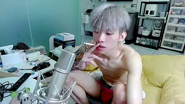KPL-11 Show Webcam