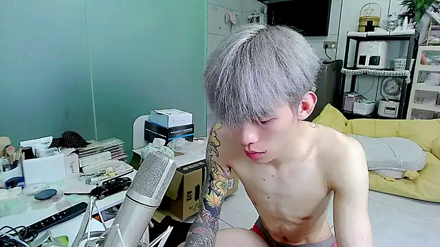 KPL-11n Webbikameraesitys