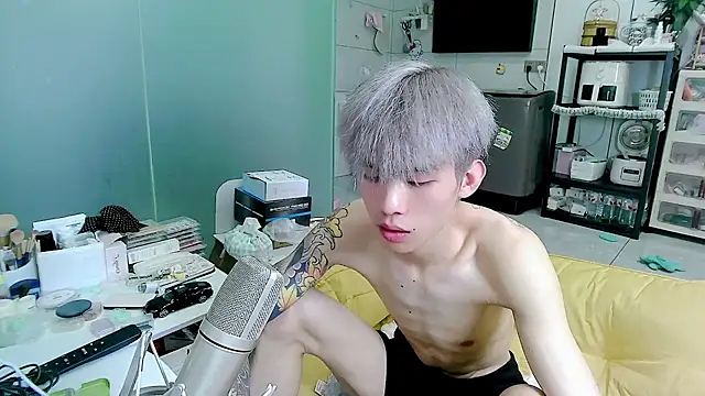 KPL-11 网络视讯表演