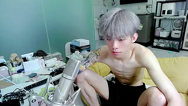 KPL-11 Webcam-Show