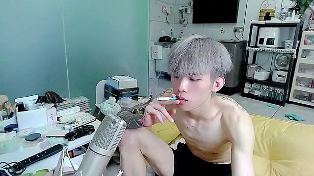 KPL-11 – webcam-show