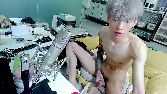 KPL-11 Webcam show