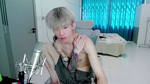 Show Webcam de KPL-11