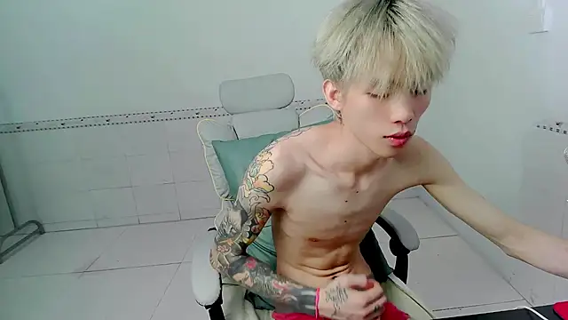 KPL-11 Show Webcam