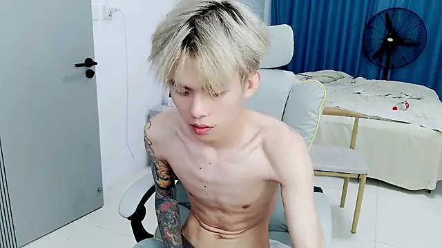 KPL-11 网络视讯表演