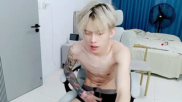 KPL-11 网络视讯表演