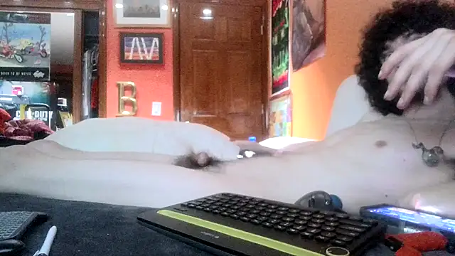 Teddy4420n Webbikameraesitys