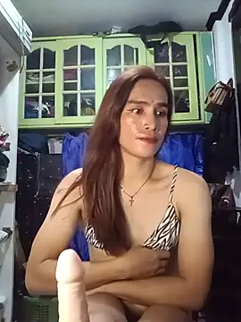 Pertunjukan Kamera Web HornyKerujieTrans