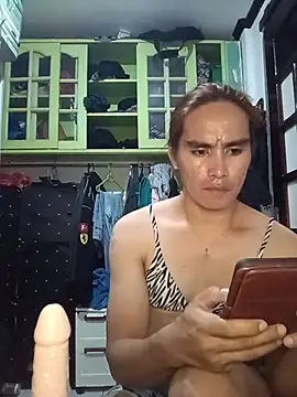 הופעת וובקאם של HornyKerujieTrans
