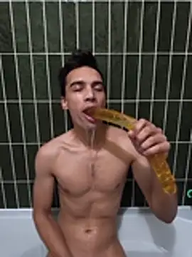 Show Webcam de rublutin