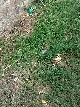 luck00y Show Webcam