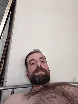 Show webcam de Ammarcuming