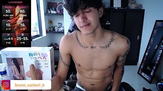 Bruno_santos1: вебкам-шоу