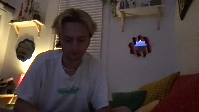 TwinkGaymer's Webcam Show