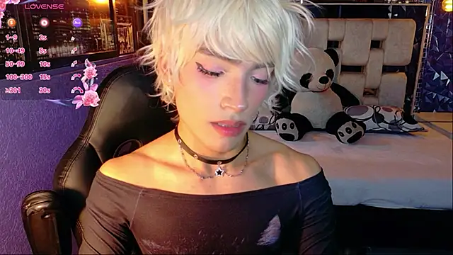 Show webcam de isaac_nova