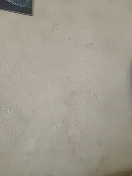 Živá chatovací místnost he-se-kin