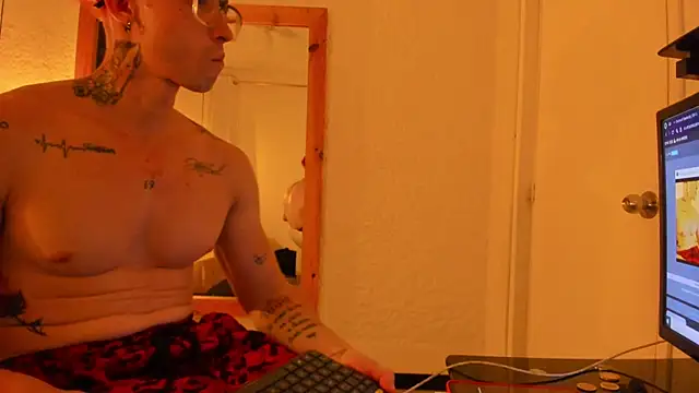 Adam_Skyen Webbikameraesitys