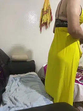 Ashwak_transn Webbikameraesitys