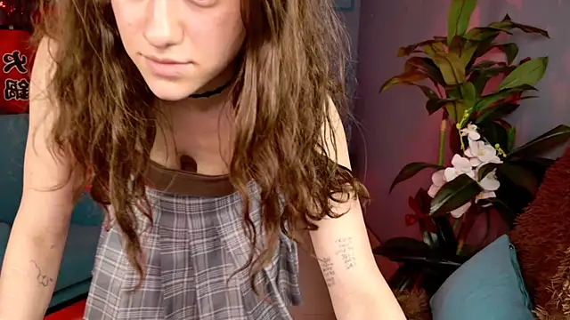 LidaDarknet – Live XXX-chat