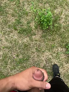 cavalloarabo69 在線直播表演
