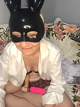 Pisicik_2 Show in webcam