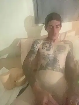 Show Webcam de dkub93