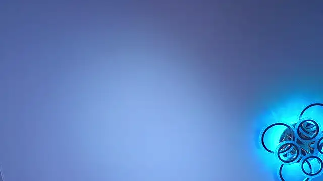 PerryKitty чат на живо