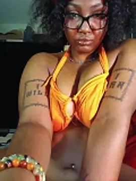 Show Webcam de BdyNdSol
