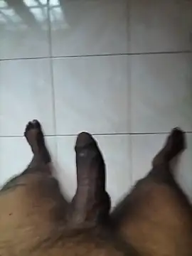 Show Webcam de wildguy27