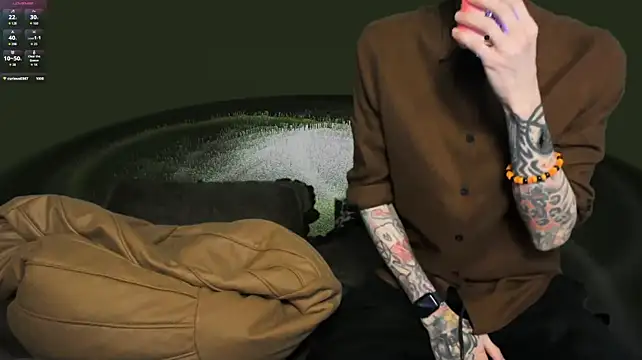 הופעת וובקאם של webzandkordz