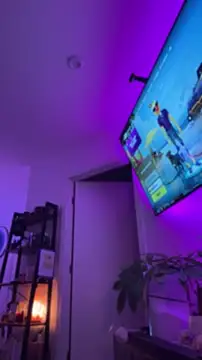 عرض كام allpawgsgotoheaven