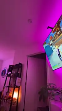 הופעת וובקאם של allpawgsgotoheaven