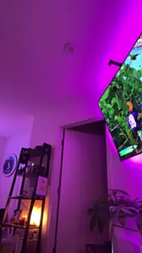 Webkamerová show allpawgsgotoheaven
