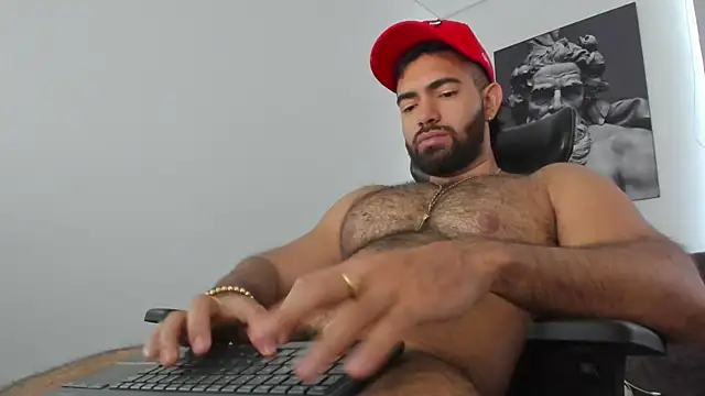 Show webcam de simonleon27