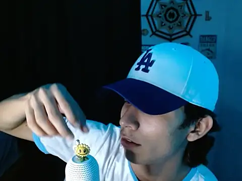 VAZAKのウェブカメラショー