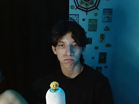 Show Webcam de VAZAK
