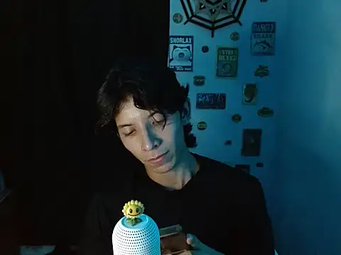 VAZAK webcam show