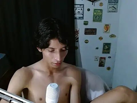 VAZAKn Webbikameraesitys