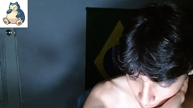 VAZAK 웹캠 쇼