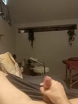 guiss3 Show Webcam