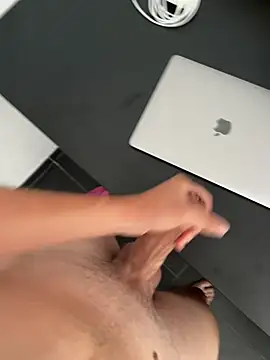 HUSIOMn Webbikameraesitys