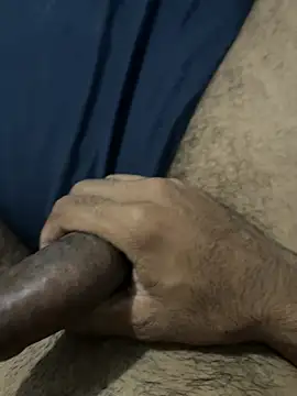 Show Webcam de profetabr26