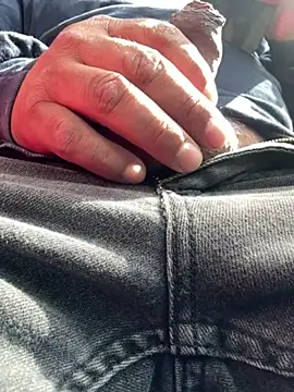 jlc069n Webbikameraesitys