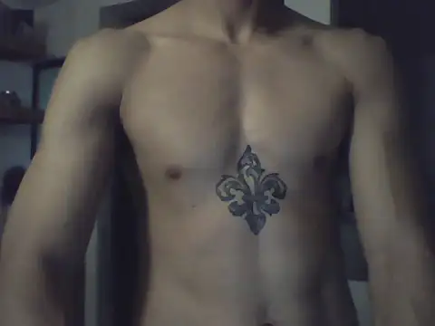 Show de webcam de noiraztec
