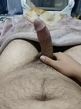عرض كام bobo76s