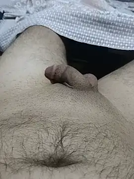عرض كام bobo76s