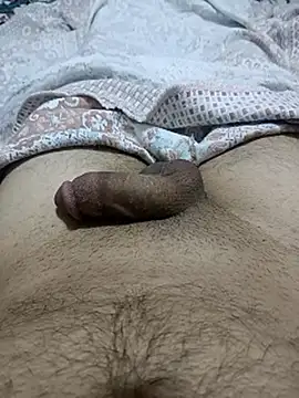 عرض كام bobo76s